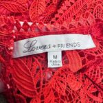 Lovers + Friends  Mon Amor Red Lace Overlay Mini Dress - Size Medium Photo 11