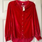 Anthropologie Pilcro Velvet Button Down Blouse Photo 1