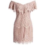 WAYF Venice Off the Shoulder Lace Minidress Photo 1