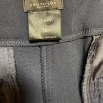 Ann Taylor Factory Curvy Size 16 Navy Slacks Pants Blue Photo 5