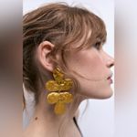 ZARA  Double Clover Earrings Photo 1