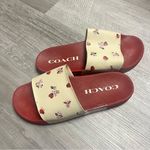 Coach  Uli Ladybug Slides size 10 Photo 0