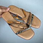 Madewell  Lyra‎ Slide Snake Print Leather Criss Cross Strap Flat Sandals Size 8 Photo 1