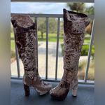 Nwt Rouge Helium Taupe Velvet High Heeled Boots Women’s Size 11 Shoes Pink Photo 8