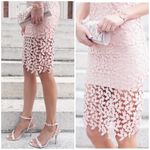 Bardot “Gemma” Lace Open Back Sheath Halter Dress blush pink size US 10 … Photo 4