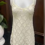 Smart & Sexy Vintage sleepwear stretch transparent lace nighty Lace Chemise Photo 0
