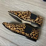 Jimmy Choo  Leopard Print Calf Hair Elastic 'Glint' Slip On Loafer sz 36 shooties Photo 2