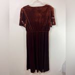 Tea N Rose  NWT The Tyrone Embroidered Dress In Brown Velvet Size L Photo 4