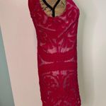 Yoana Baraschi Embroidered Dress Size 2 Photo 4
