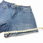 Abercrombie & Fitch The Dad Jean Shorts High Rise 33/16 Distressed Curve Denim Photo 6