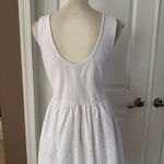 Steve Madden Julian Pointelle Skirt Dress - White. Size L. MSRP $109 Photo 12