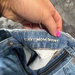 American Eagle Outfitters Curvy Mom shorts Photo 2