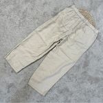 Quince  Women’s 100% European Linen Flax Pull On Pants Wide Leg in Driftwood L Photo 7