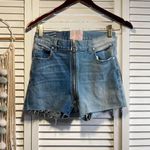 Revice Denim Two Tone Shorts Photo 1
