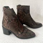 Treasure & Bond Nordstrom Farrah Brown Faux Snake Western Stud Ankle Boots 6.5 Photo 1