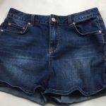 American Rag  ladies  shorts 9 Photo 15