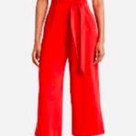 Calvin Klein Belted Wide Leg Jumpsuit Photo 0