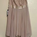 Ever Pretty  Lace Midi Dress in Beige and Gold Photo 0