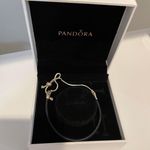 Pandora Bracelet Photo 0