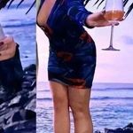 Louisa Ballou Helios Double Layer Mesh Dress Night Blooming Flower Size Medium Blue Photo 14