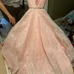 Tiffany Designs Pink Prom / Pageant Dress Photo 4