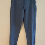 ALBION FIT Jetsetter Joggers Size XS Tall Ankle Zipper Athleisure Chambray Blue Photo 0