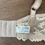 Wacoal Lace Detail Bra Photo 5