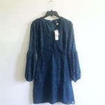 Francesca's Buttons V Neck Lantern Sleeves Lace Dress Photo 1