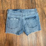 DL1961  Karlie Boyfriend denim shorts Photo 1