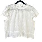 Jennifer Grace Jennifer & Grace White Eyelet Palm Tree Ruffle Mock Neck Blouse Top Size XL Photo 0
