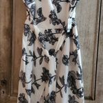 Bebe Womens Plus Black & White Dress π size 20W Photo 0