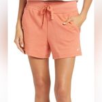 Nike  Core Dry Fleece Shorts Photo 0