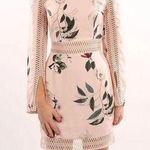 Keepsake the Label Do It Right Mini Dress in Pink Photo 0