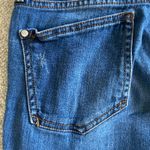 Pilcro and the Letterpress Anthropologie Stet Mid Rise Jeans Photo 12