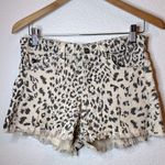 KANCAN Leopard Print Women's Shorts 97% cotton Thank Black Photo 1