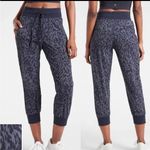 Athleta Trekkie North Printed Crop 23" Jogger, Size 2 Photo 1
