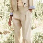 ZARA  Pleated Linen Straight Leg Pants Beige Sz L NWT Photo 0