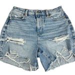 American Eagle  baggy mom shorts size 2 Photo 0