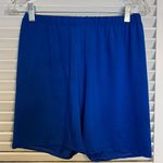 LG Royal Blue Thin Polyester Shorts Size XL Photo 0