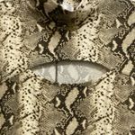 Riley & James Womens Bodycon Mini Dress S Small Snakeskin Print Brown Ivory NWT Photo 2