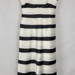 BCBG Maxazria Dress 2 Black Ivory Striped Classic A-Line Minimalist Photo 0