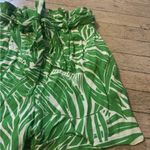 Mango Palm Tree Shorts Photo 6