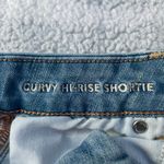 American Eagle Curvy High Rose Shortie Photo 4