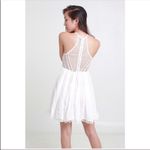 Hello Molly NWT Angel Biba Anya Skater Dress Photo 2