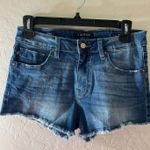Vigoss  Shorts Photo 0