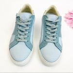 Greats Brooklyn Royale Suede Leather Canvas Sneakers: Two Tone Light Sky Blue Size 7.5 Photo 1