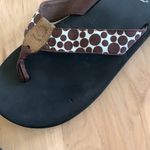 Yellow Box  Flip Flops Brown Polka Dot Womens 6 Photo 6