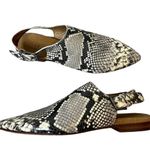 Anthropologie Gee Wawa for snakeskin Slingback flats sz 6 Photo 2