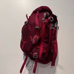 Osprey Savu 5 Belt Bag in Deep Red Photo 4