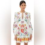 Farm Rio  Off-White Floral Insects Mini Dress XL Photo 10